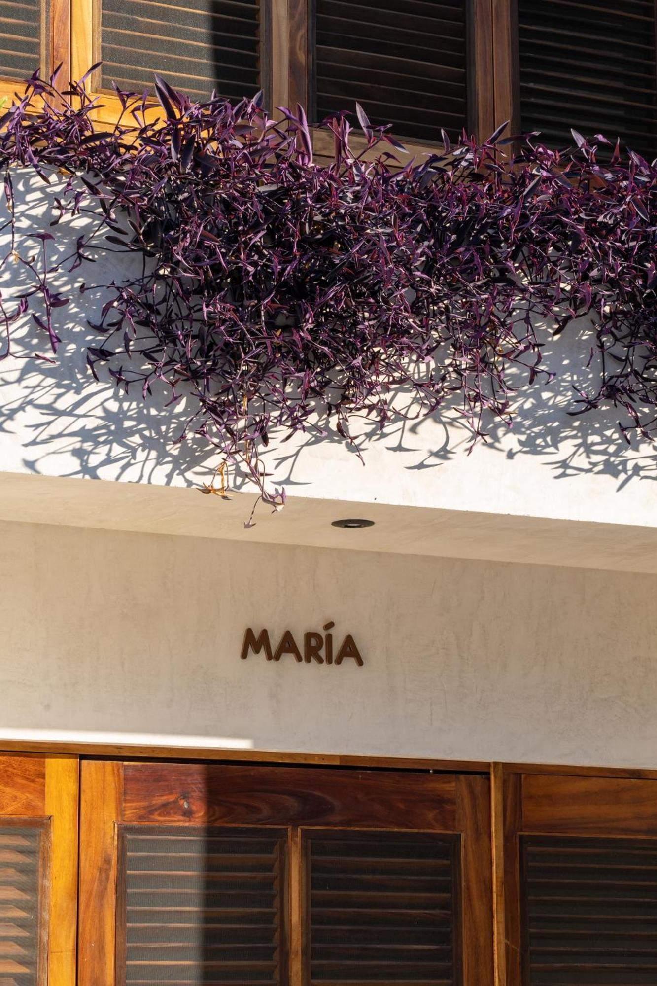 فندق Casa Mava Brisas de Zicatela المظهر الخارجي الصورة